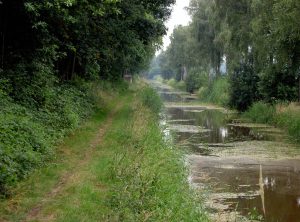 an-t-knaal-038